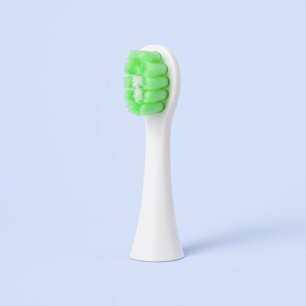 Tête de Brosse à Dents