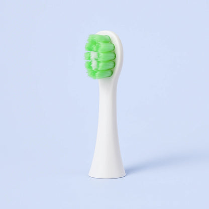 Tête de Brosse à Dents